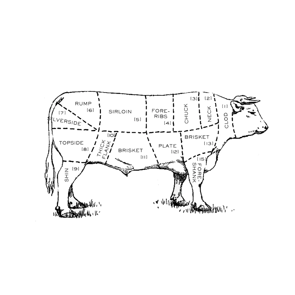 Organic Shin of Beef (500g) - Image 3