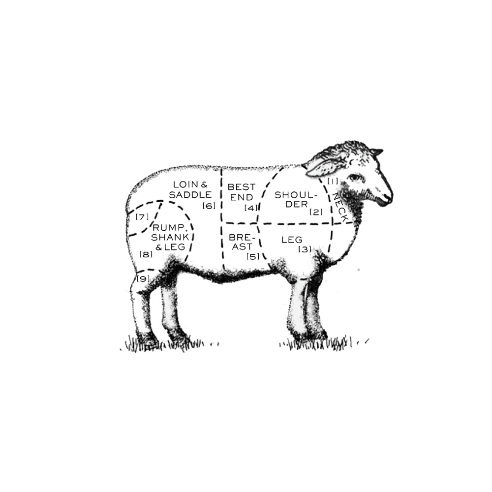 Organic Lamb Leg Steaks (500g) - Image 2