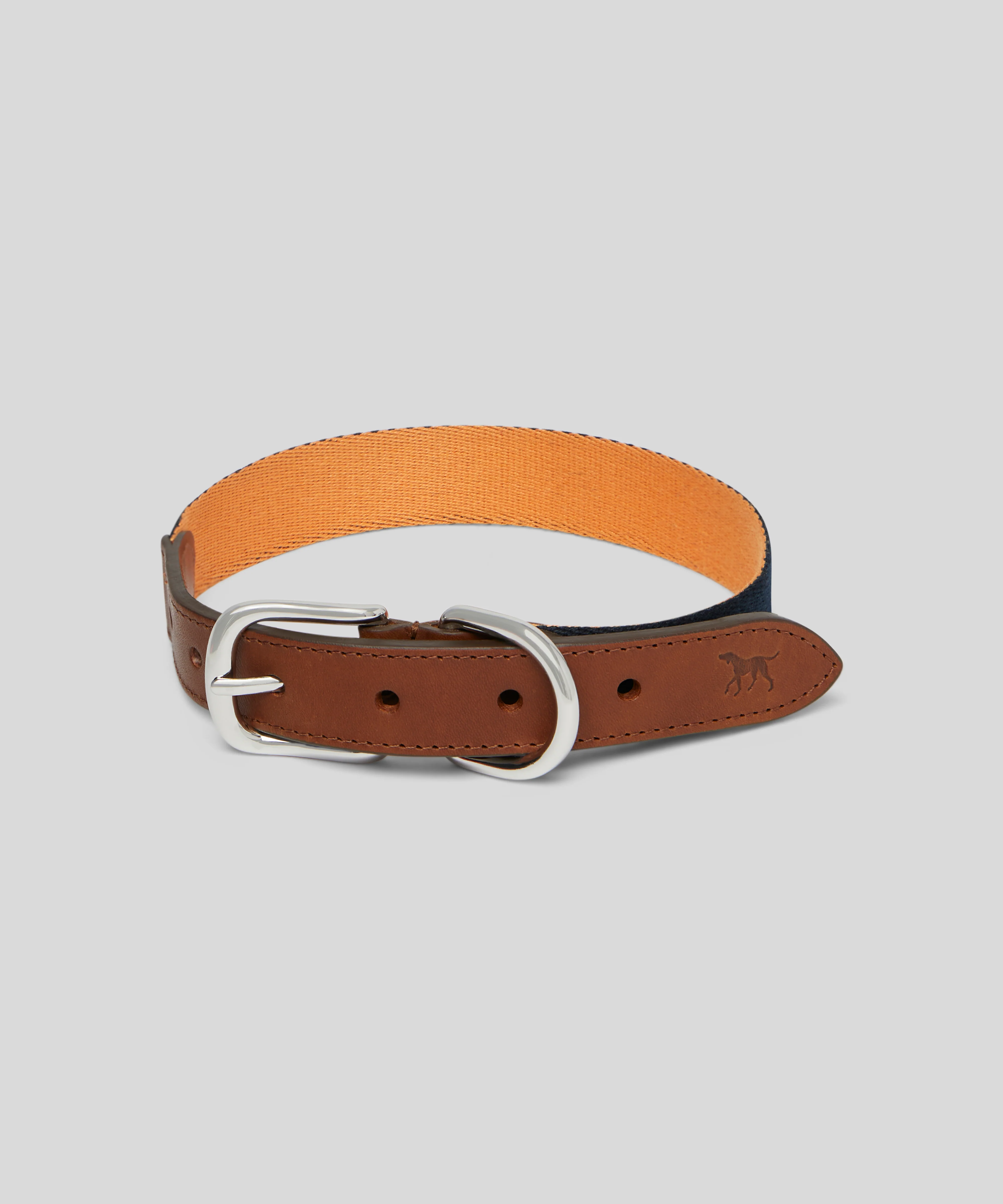 Goodwoof Webbing & Leather Dog Collar - Image 3