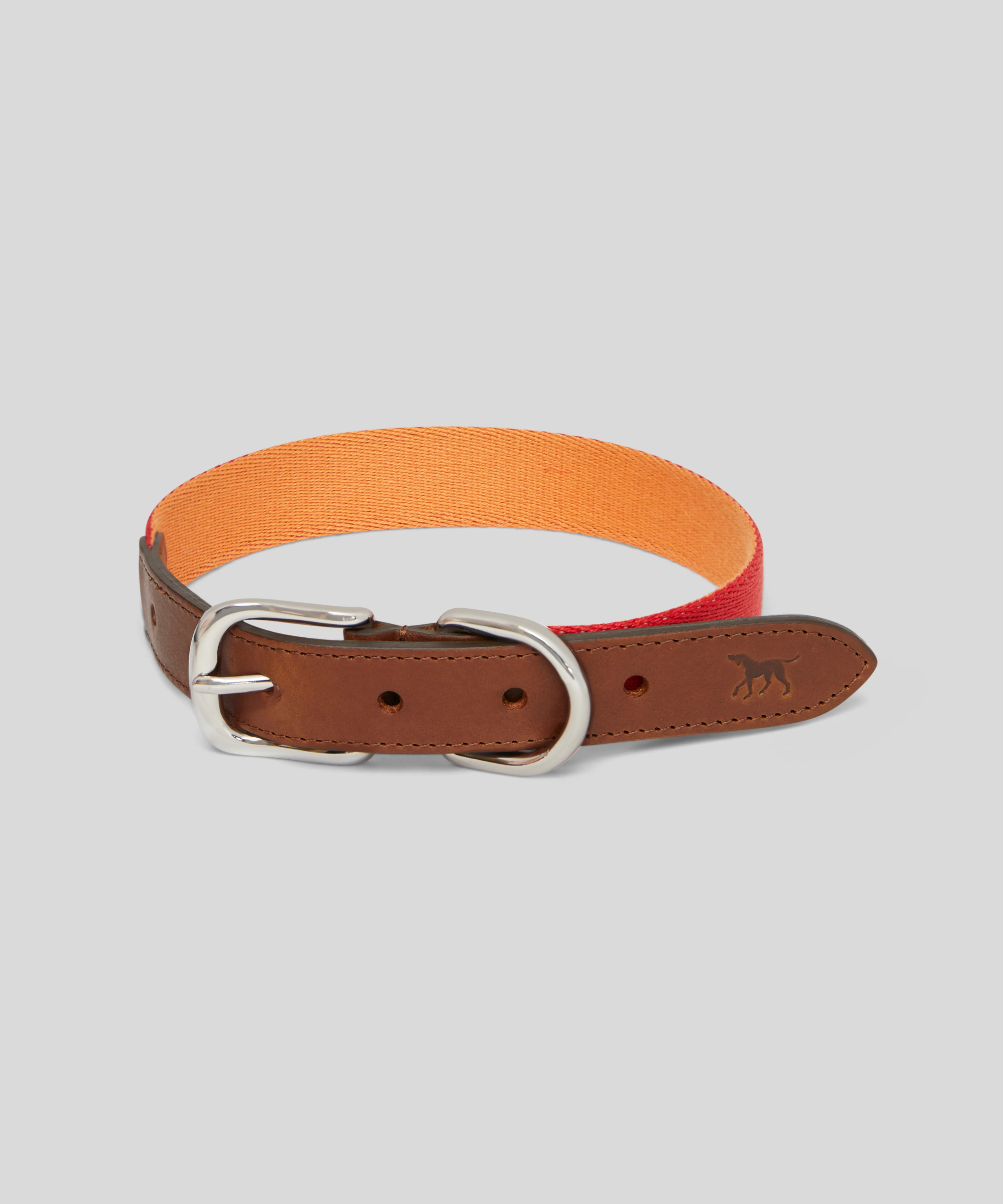 Goodwoof Webbing & Leather Dog Collar - Image 4