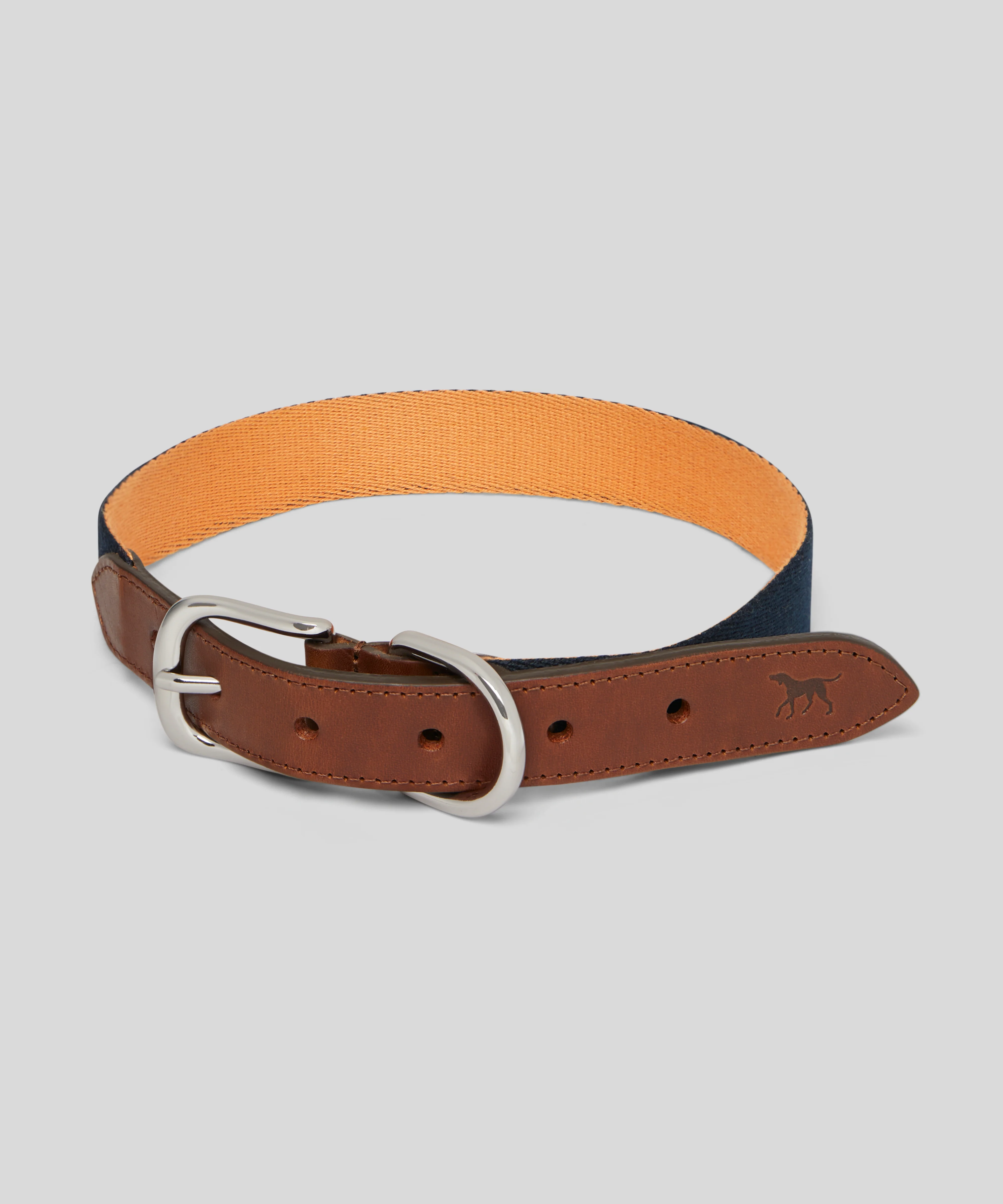 Goodwoof Webbing & Leather Dog Collar - Image 7