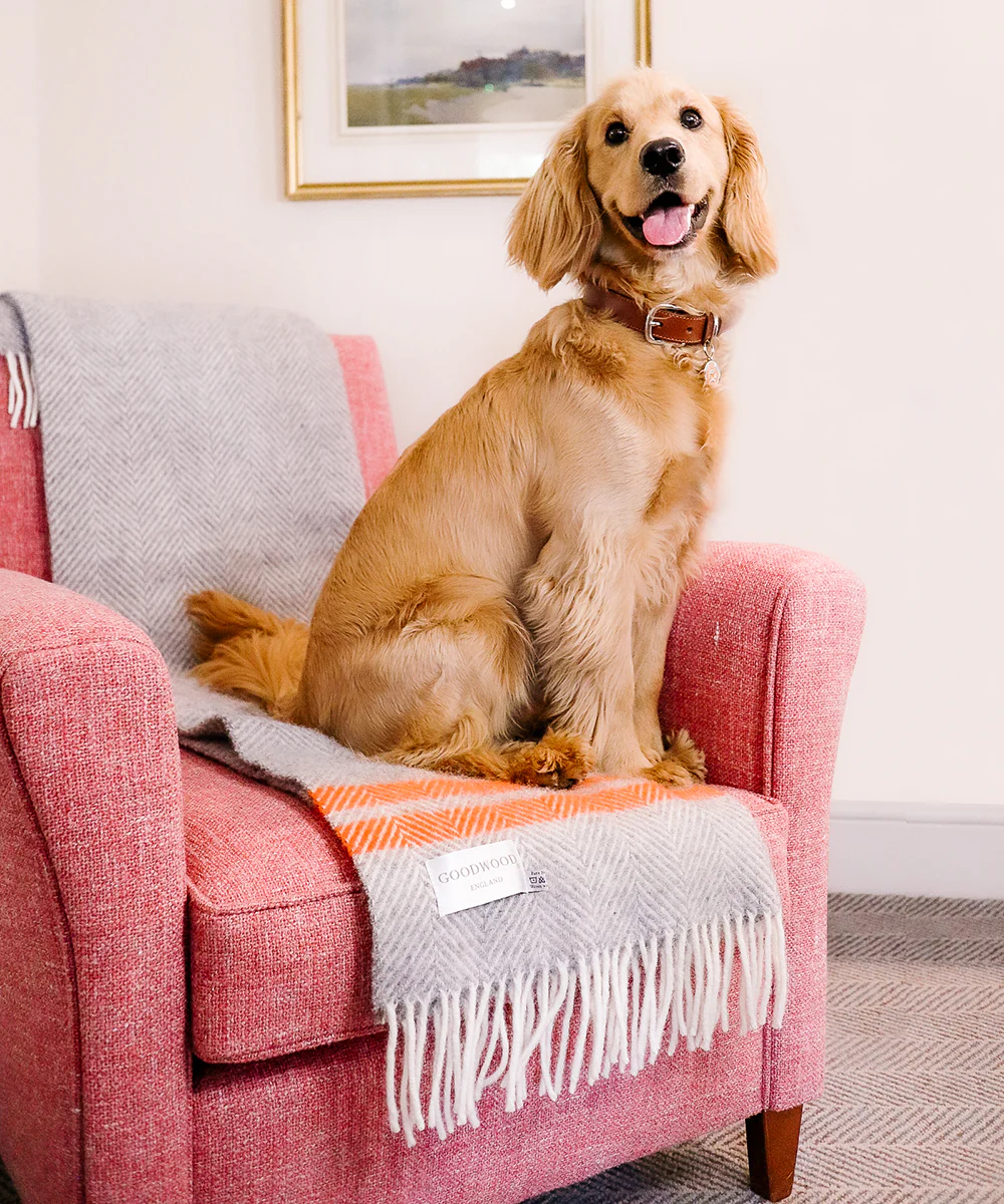 Goodwoof Fishbone Travel Rug Grey & Orange - Image 4