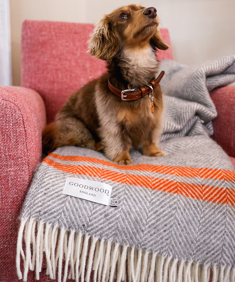 Goodwoof Large Fishbone Rug Grey and Orange - Image 3