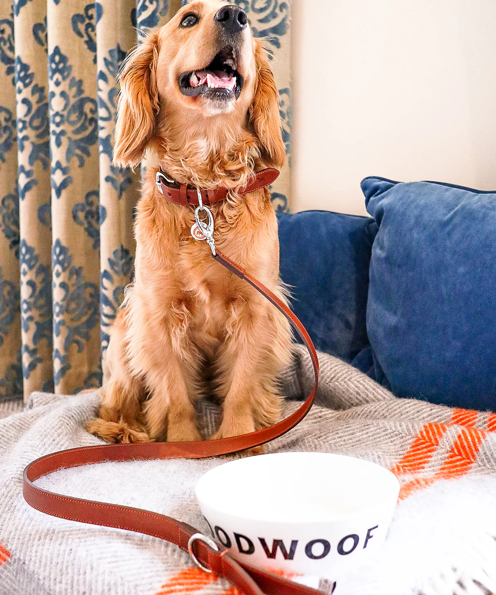 Goodwoof Leather Dog Lead Brown - Image 3