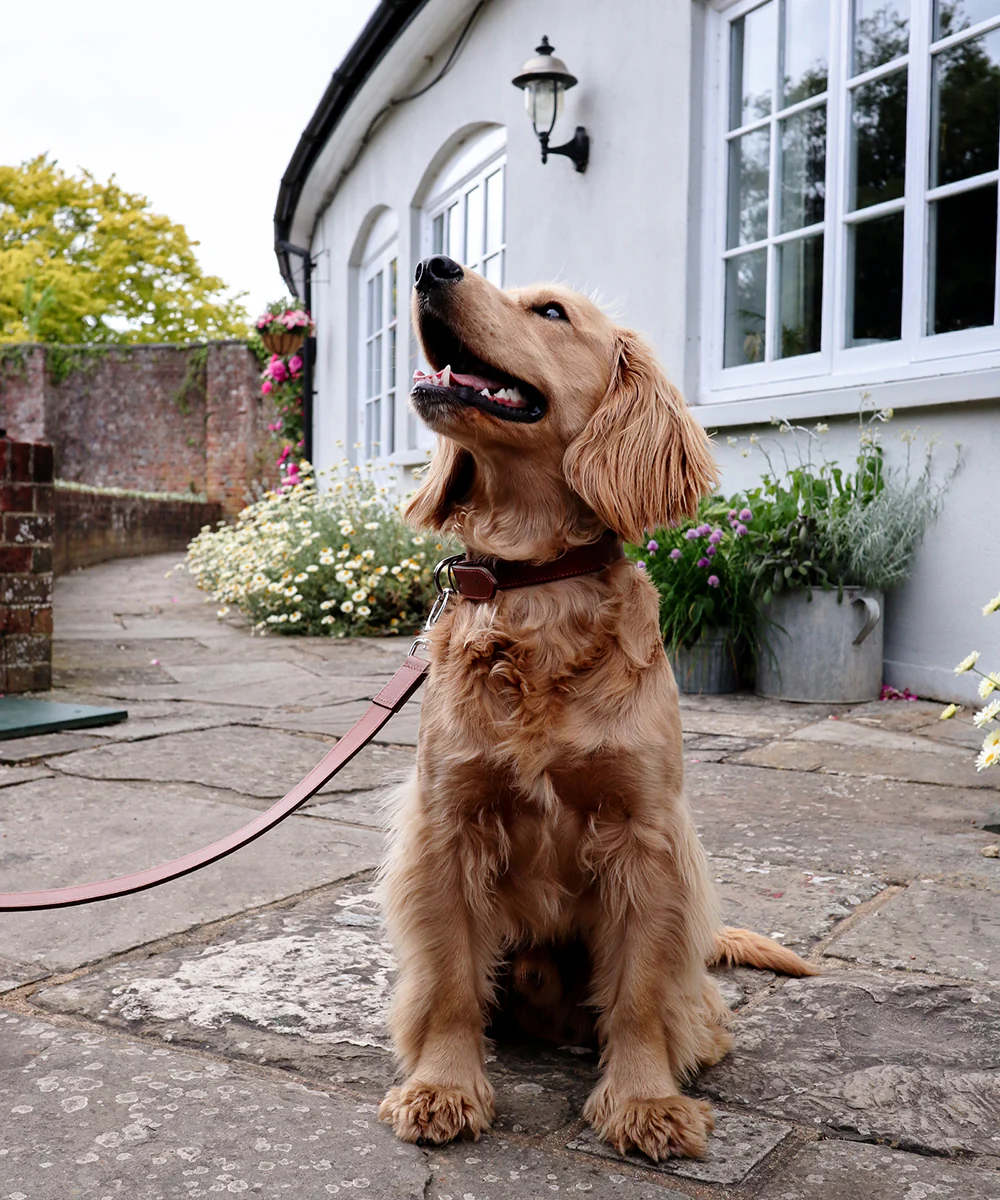 Goodwoof Leather Dog Lead Brown - Image 4